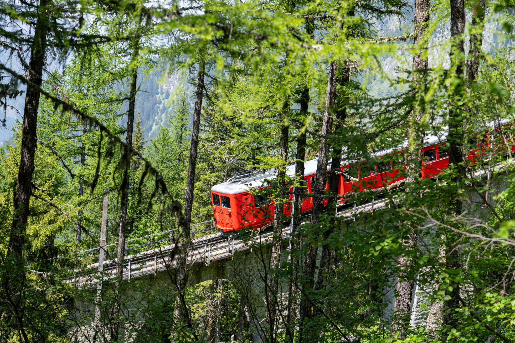 Billet Descente (Montenvers -> Chamonix)
